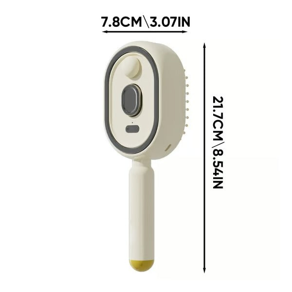 Electric Spray Massage Comb