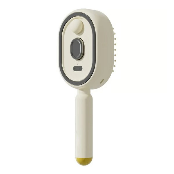 Electric Spray Massage Comb